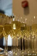Вина от FITZ Wine стали приятным дополнением к вечеру
