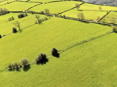 В России изменится порядок расчета арендной платы за землю