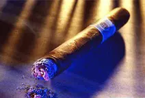 О жизни сигар и их ценителей 