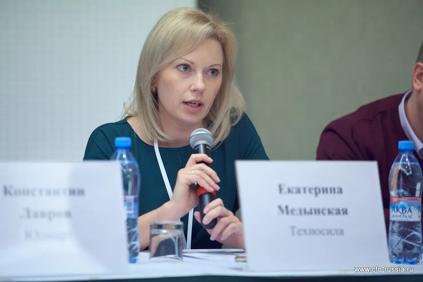 Екатерина Медынская, <br />
финансовый директор,<br />
Техносила IMG_9436.jpg